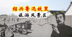 爆插视频中国绍兴-鲁迅故里旅游风景区